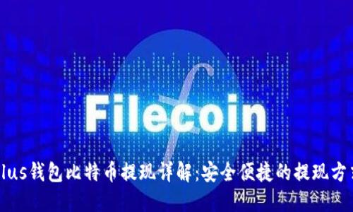 Plus钱包比特币提现详解：安全便捷的提现方式