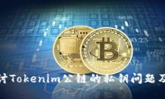 深入探讨Tokenim公链的私钥