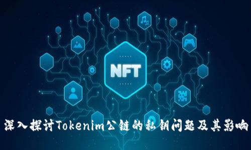 深入探讨Tokenim公链的私钥问题及其影响