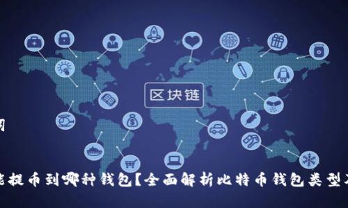 和关键词


比特币能提币到哪种钱包？全面解析比特币钱包类型及其优势
