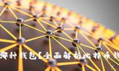 和关键词比特币能提币到哪种钱包？全面解析比
