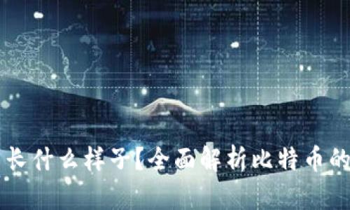 电子钱包里的比特币长什么样子？全面解析比特币的数字形态与存储方式