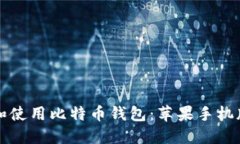 如何下载和使用比特币钱