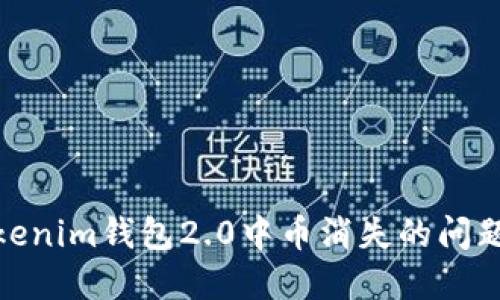 如何解决Tokenim钱包2.0中币消失的问题及预防措施