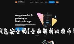 网上比特币钱包安全吗？全面解析比特币钱包的