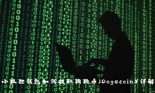 小狐狸钱包如何提取狗狗币（Dogecoin）详解