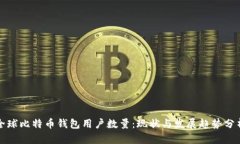 全球比特币钱包用户数量：现状与发展趋势分析