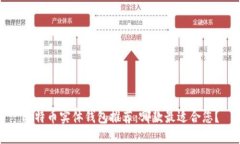 比特币实体钱包推荐：哪款最适合您？