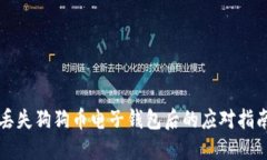 丢失狗狗币电子钱包后的应对指南