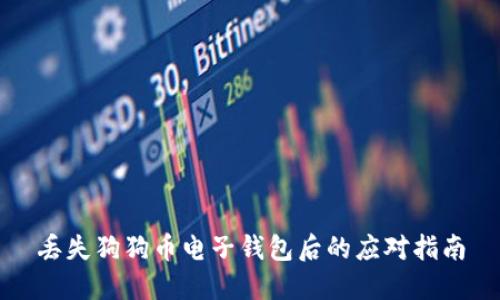 丢失狗狗币电子钱包后的应对指南