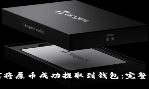 如何将屎币成功提取到钱包：完整指南