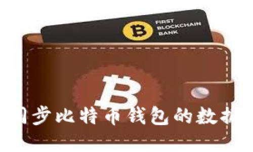 如何高效同步比特币钱包的数据：全面指南