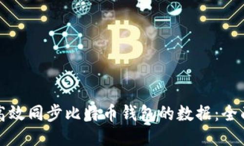 如何高效同步比特币钱包的数据：全面指南
