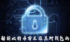 全面解析比特币分叉及其对钱包的影响