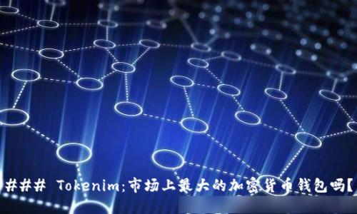 ### Tokenim：市场上最大的加密货币钱包吗？