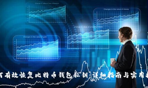 如何有效恢复比特币钱包私钥：详细指南与实用技巧