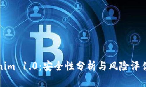 Tokenim 1.0：安全性分析与风险评估指南