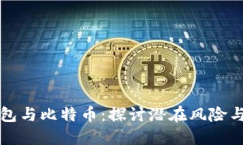 电子钱包与比特币：探讨潜在风险与安全性