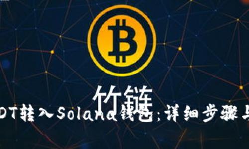 如何将USDT转入Solana钱包：详细步骤与注意事项
