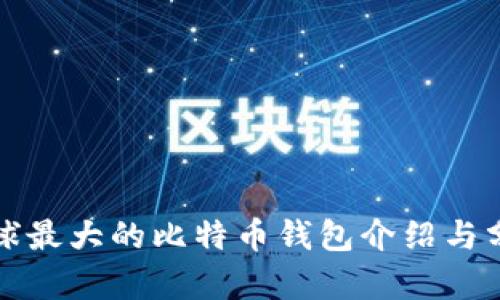 全球最大的比特币钱包介绍与分析