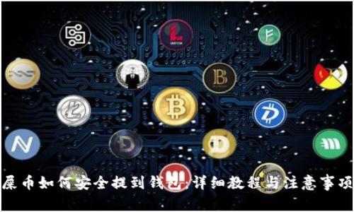 屎币如何安全提到钱包：详细教程与注意事项