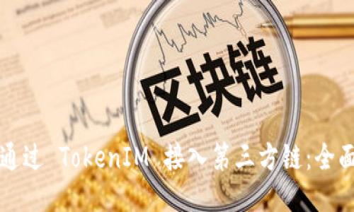 如何通过 TokenIM 接入第三方链：全面指南
