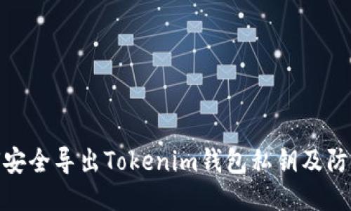 : 如何安全导出Tokenim钱包私钥及防盗技巧