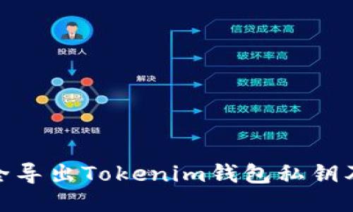 : 如何安全导出Tokenim钱包私钥及防盗技巧