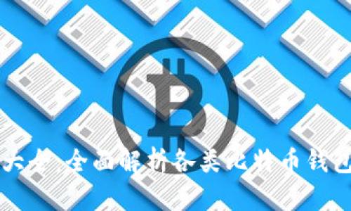 比特币的钱包大全：全面解析各类比特币钱包及其使用指南
