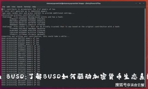 Tokenim BUSD：了解BUSD如何驱动加密货币生态系统的未来