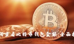 如何查看比特币钱包金额：全面指南