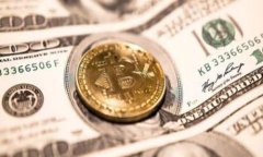 ### ``标签内容Tokenim的多重用途与应用场景解析