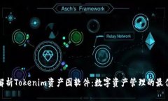 全面解析Tokenim资产图软件