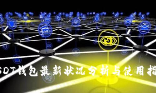 USDT钱包最新状况分析与使用指南