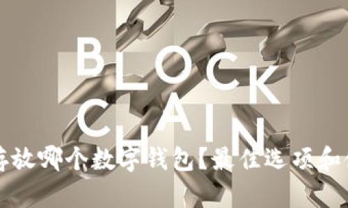 狗狗币存放哪个数字钱包？最佳选项和使用指南