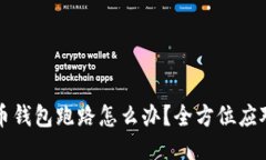 比特币钱包跑路怎么办？全方位应对指南