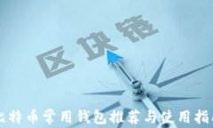 比特币常用钱包推荐与使用指南