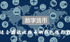 最适合存放比特币的钱包选择指南