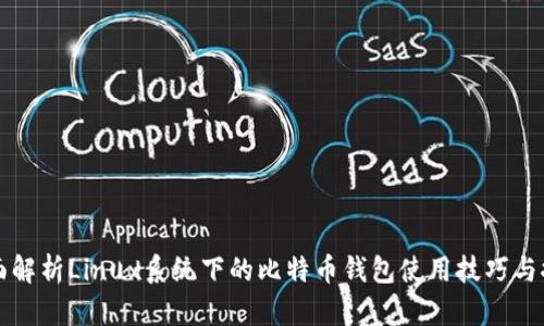 全面解析Linux系统下的比特币钱包使用技巧与推荐