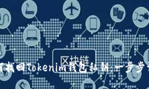 如何找回Tokenim钱包私钥：一步步详解
