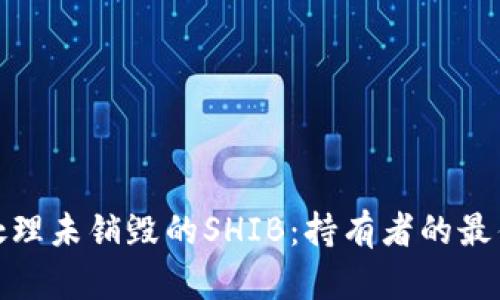 如何处理未销毁的SHIB：持有者的最佳选择