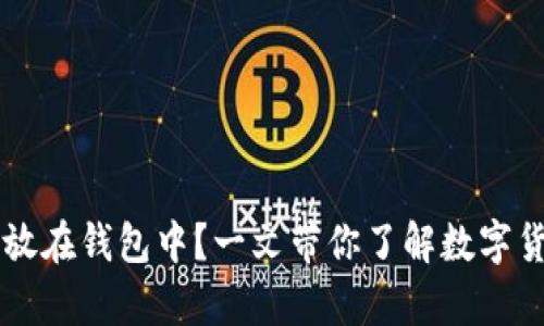 狗狗币能否存放在钱包中？一文带你了解数字货币钱包的使用