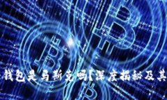 狗狗币最大钱包是马斯克吗？深度揭秘及其背后
