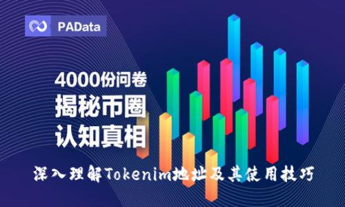 深入理解Tokenim地址及其使用技巧