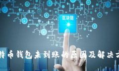 比特币钱包未到账的原因及解决方案