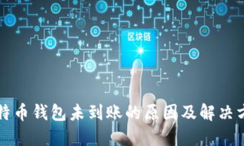 比特币钱包未到账的原因及解决方案