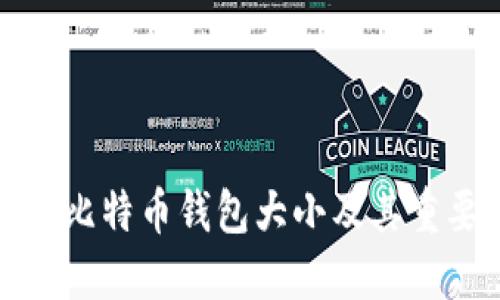 如何查看比特币钱包大小及其重要性解读