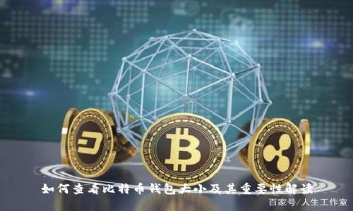 如何查看比特币钱包大小及其重要性解读