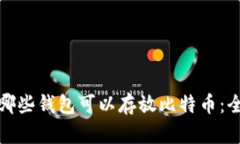 : 了解哪些钱包可以存放比