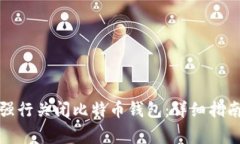 如何安全地强行关闭比特币钱包：详细指南与注